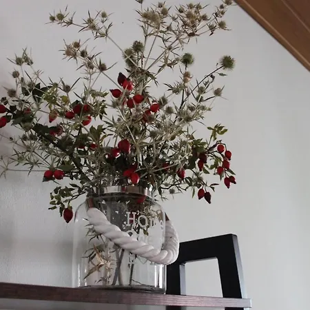 Apartman Domcekova * Kosice