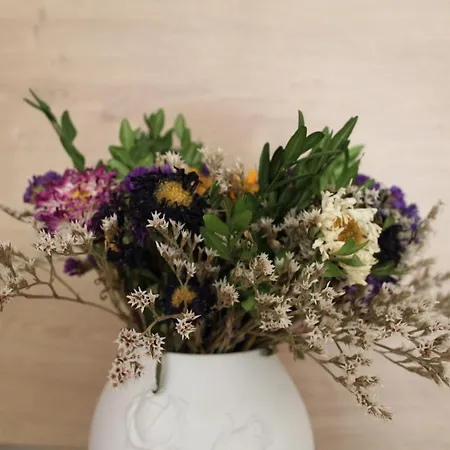 Apartment Apartman Domcekova